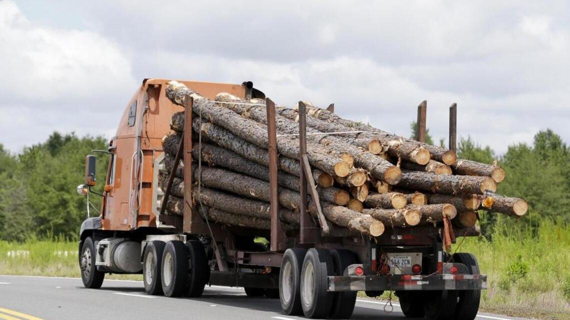 N.C. forests are under assault; Gov. Cooper should help