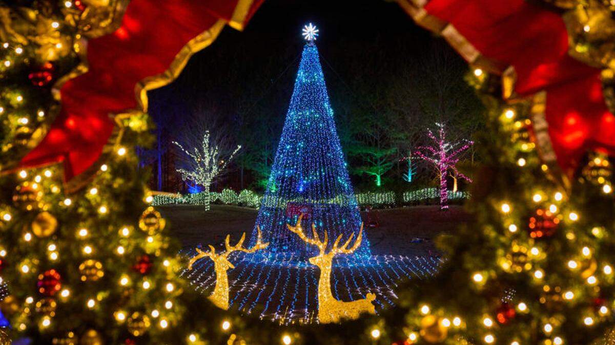 Carolina Holiday Light Spectacular