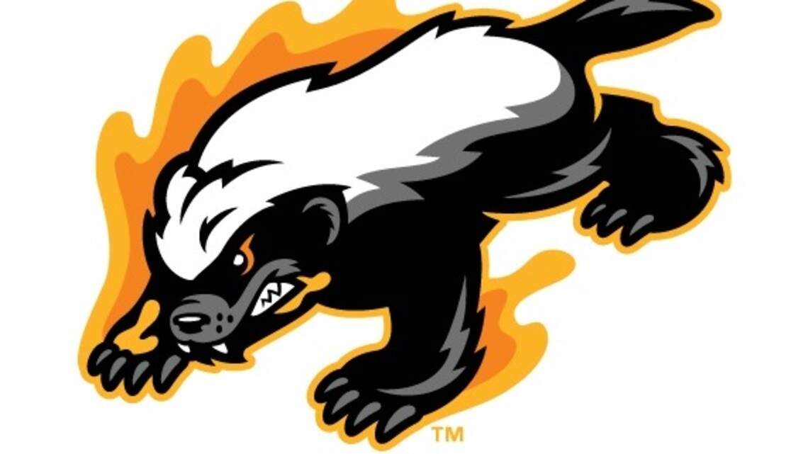 New Gastonia baseball team named for freed slave and ‘world’s most fearless animal’