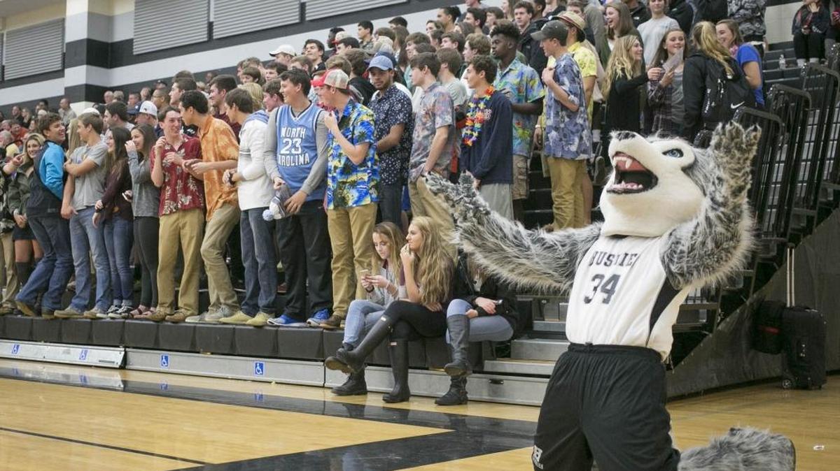 The Hough Husky reacts to a North Meck score during a MECKA conference prep basketball game Friday, January 8, 2016 at Hough High School. North Meck won 68 - 63. Photo by JASON E. MICZEK - Special to the Observer