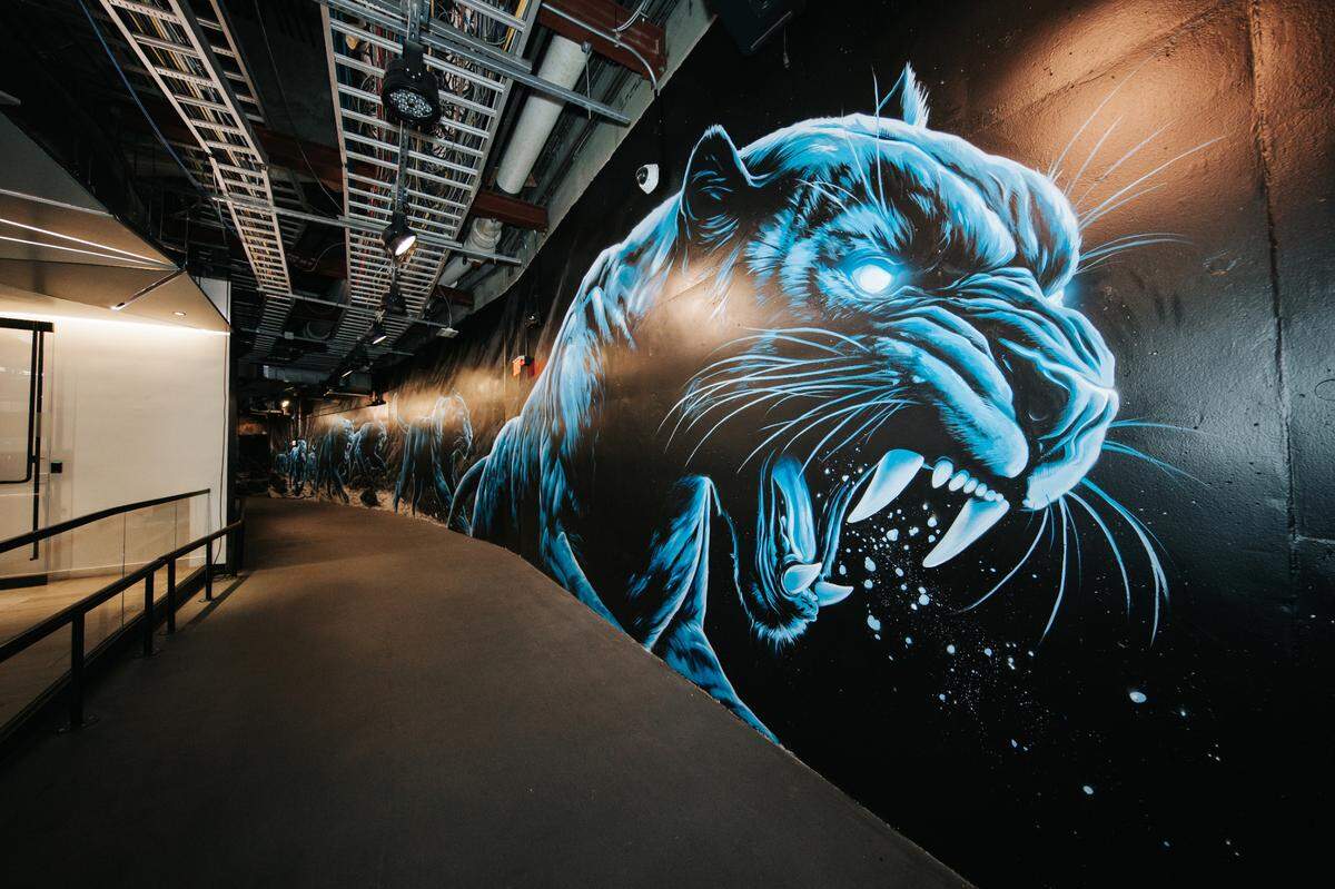 A snapshot of the mural in the Bank of America Stadium tunnel, produced by North Carolina native and Charlotte muralist Matt Moore.