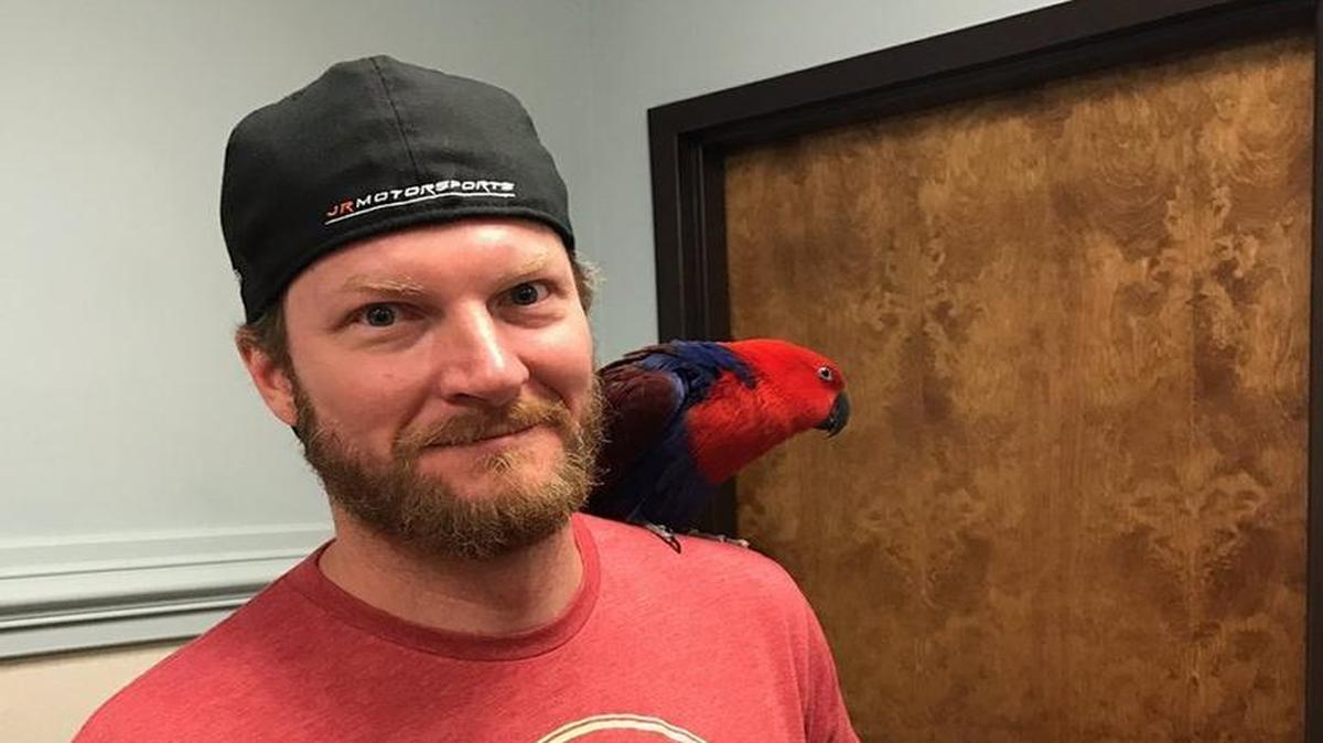 Dale Earnhardt Jr. found a friend Friday at the Rescue Ranch in Statesville.