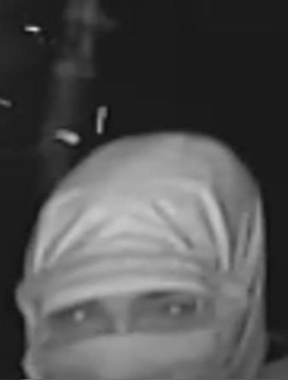 The Davidson County Sheriff's Office released surveillance photos of would-be burglars at the home of NASCAR team owner Richard Childress.