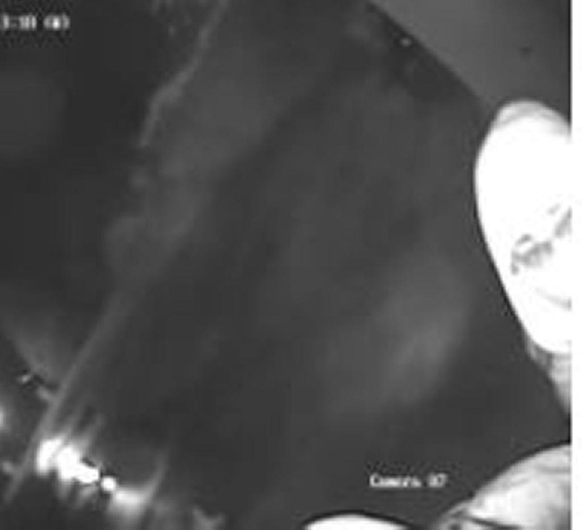 The Davidson County Sheriff’s Office released surveillance photos of would-be burglars at the home of NASCAR team owner Richard Childress.