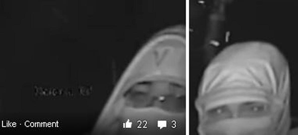 The Davidson County Sheriff’s Office released surveillance photos of would-be burglars at the home of NASCAR team owner Richard Childress.