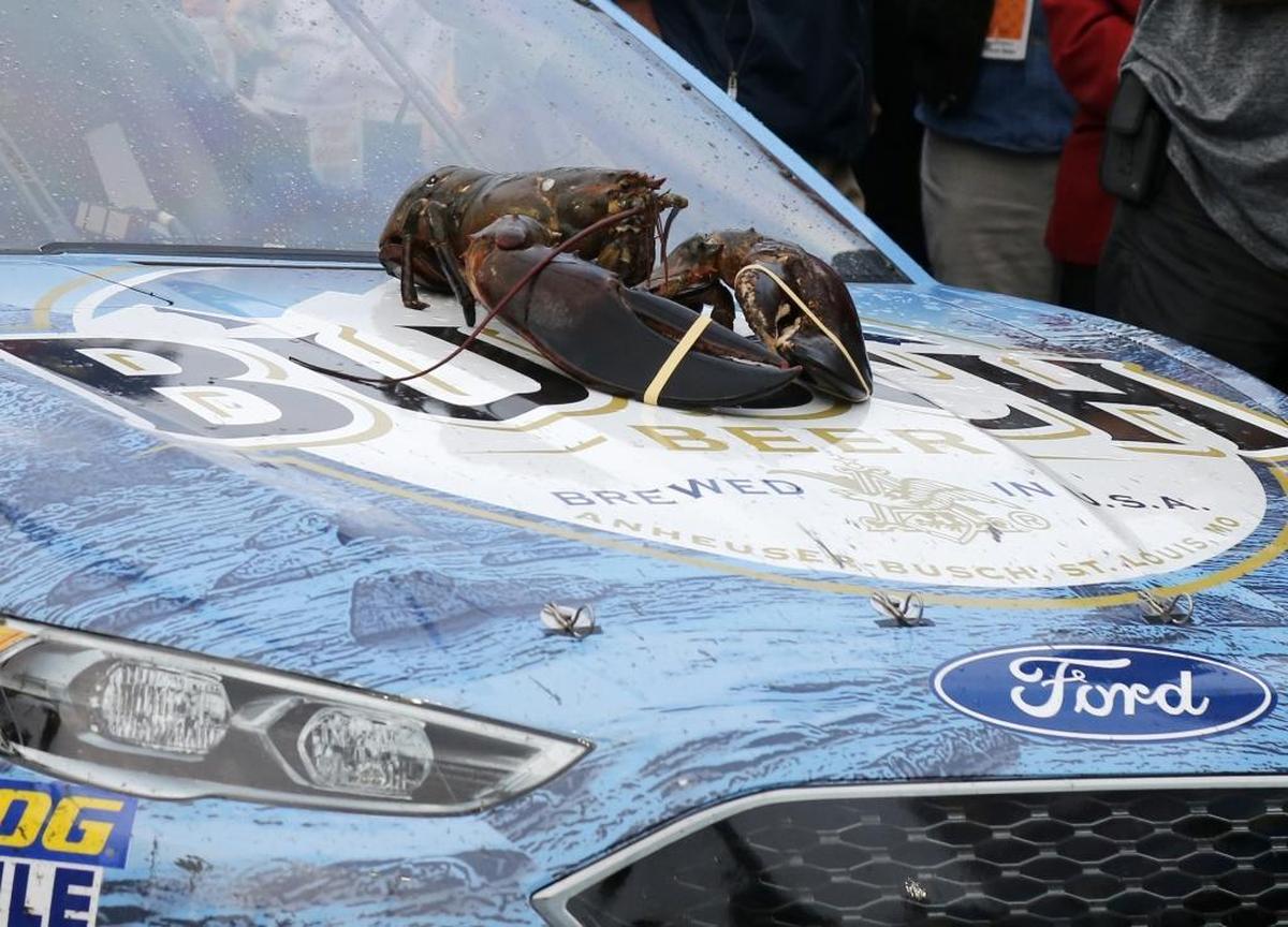 A lobster rests on the hood of Kevin Harvick’s car after Harvick won Sunday’s NASCAR Cup Series auto race at New Hampshire Motor Speedway.
