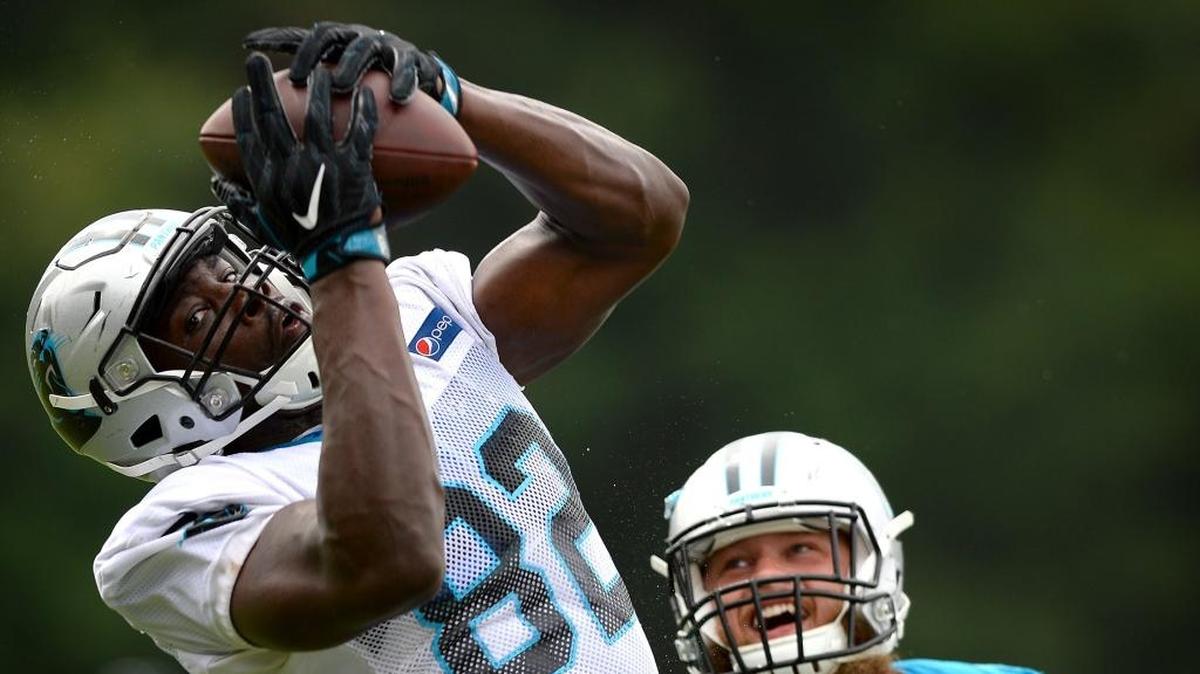 The Panthers placed tight end Chris Manhertz (82) on injured reserve Tuesday with a high ankle sprain. Manhertz, primarily a blocker, will miss the playoffs.