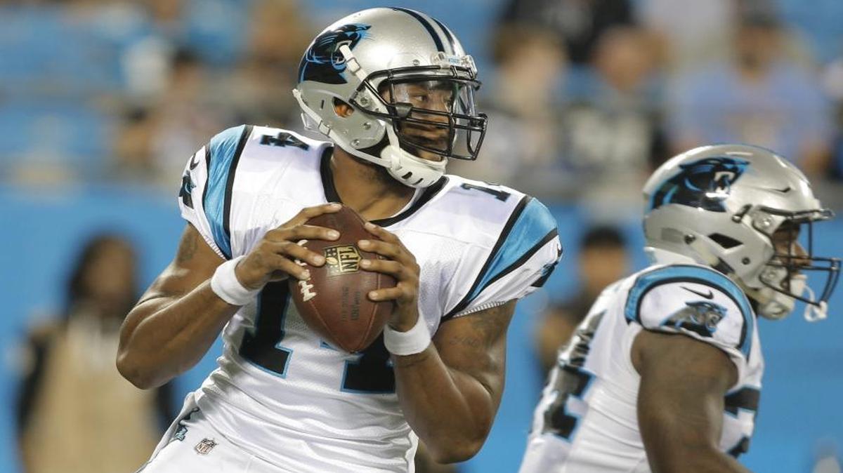The Carolina Panthers have decided to go with two quarterbacks, releasing versatile special teams stalwart Joe Webb (14), the team website tweeted.