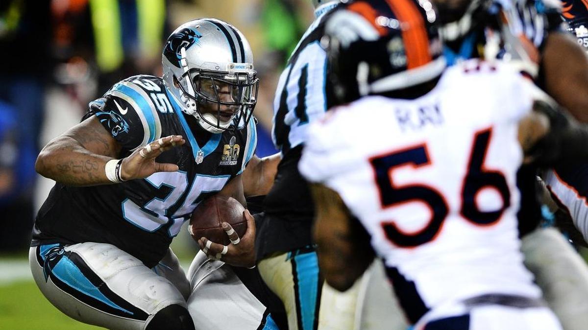 The Carolina Panthers us a fullback more than most teams, but whether Mike Tolbert (35) comes back will all boil down to money.