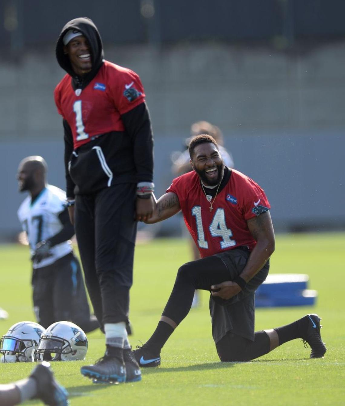 The Carolina Panthers have kept Joe Webb (14) around as a third quarterback behind Cam Newton (1) and Derek Anderson for his special teams play and ability to play receiver, too. Barring a need at another position, that should continue in 2017.