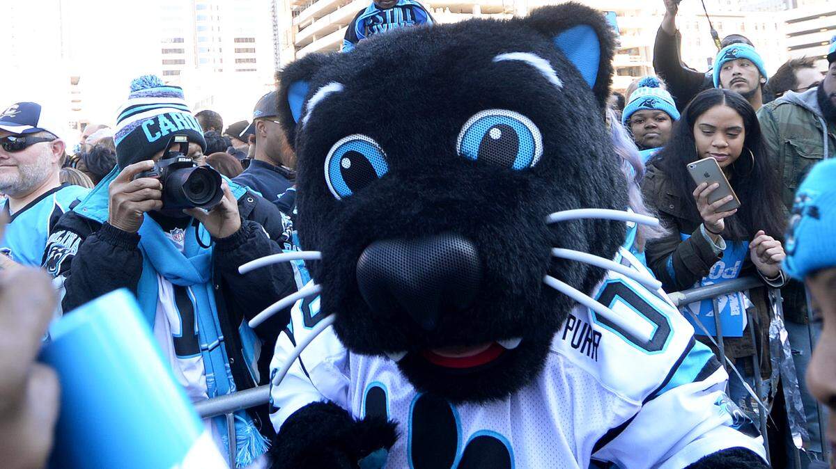 Carolina Panthers mascot Sir Purr, seen here at a rally in Charlotte uptown’s Romare Bearden Park in 2016, will be at Pelicans Ballpark in Myrtle Beach on Aug. 30.