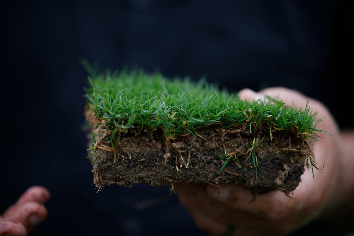 A chunk of sod is held by Chad Price, President of Crolina Green Corp,to illustrate how dense their root structure grows, reinforcing the strength of their grass. Carolina Green Corp grows premium sod, works with Charlotte FC, Carolina Panthers, Kansas City Chiefs and many more college and professional teams across the country.