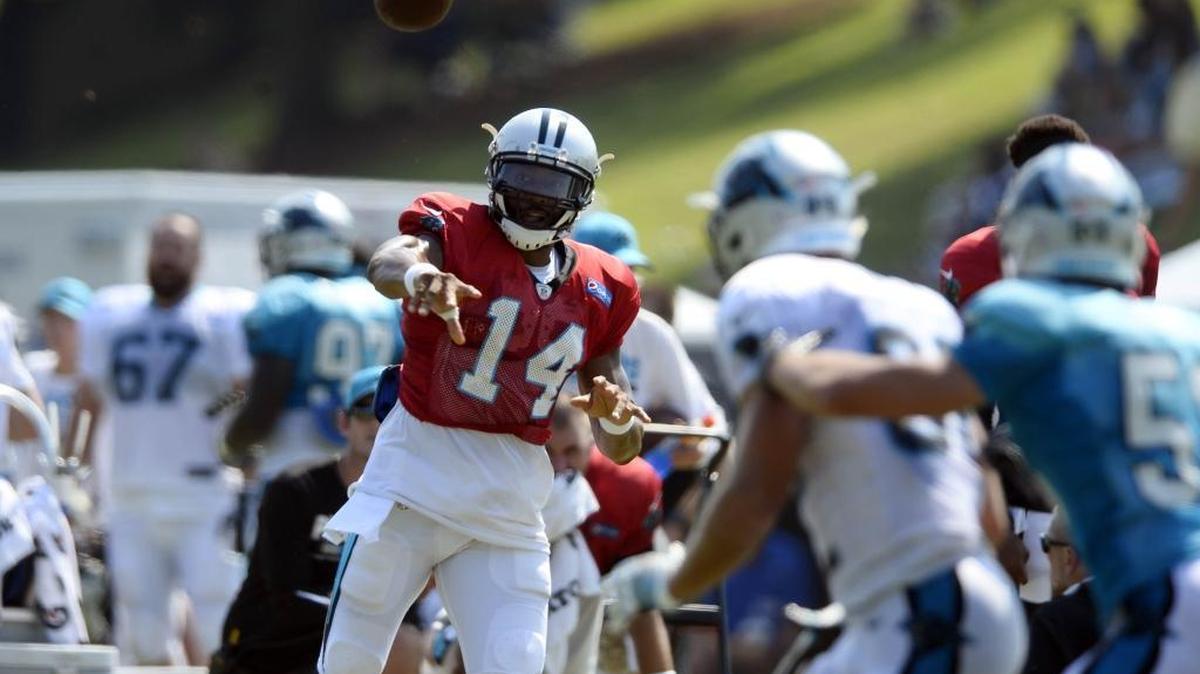 Carolina Panthers third-string quarterback Joe Webb has excelled during the preseason, but it is unlikely that he will be promoted to Cam Newton’s backup.