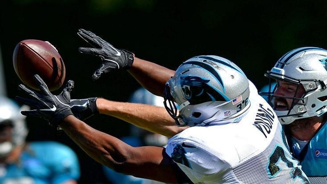 Panthers coach Ron Rivera says fullback Darrel Young, left, is an experienced player who knows the game. “We’ve got two really good candidates and like them both.”