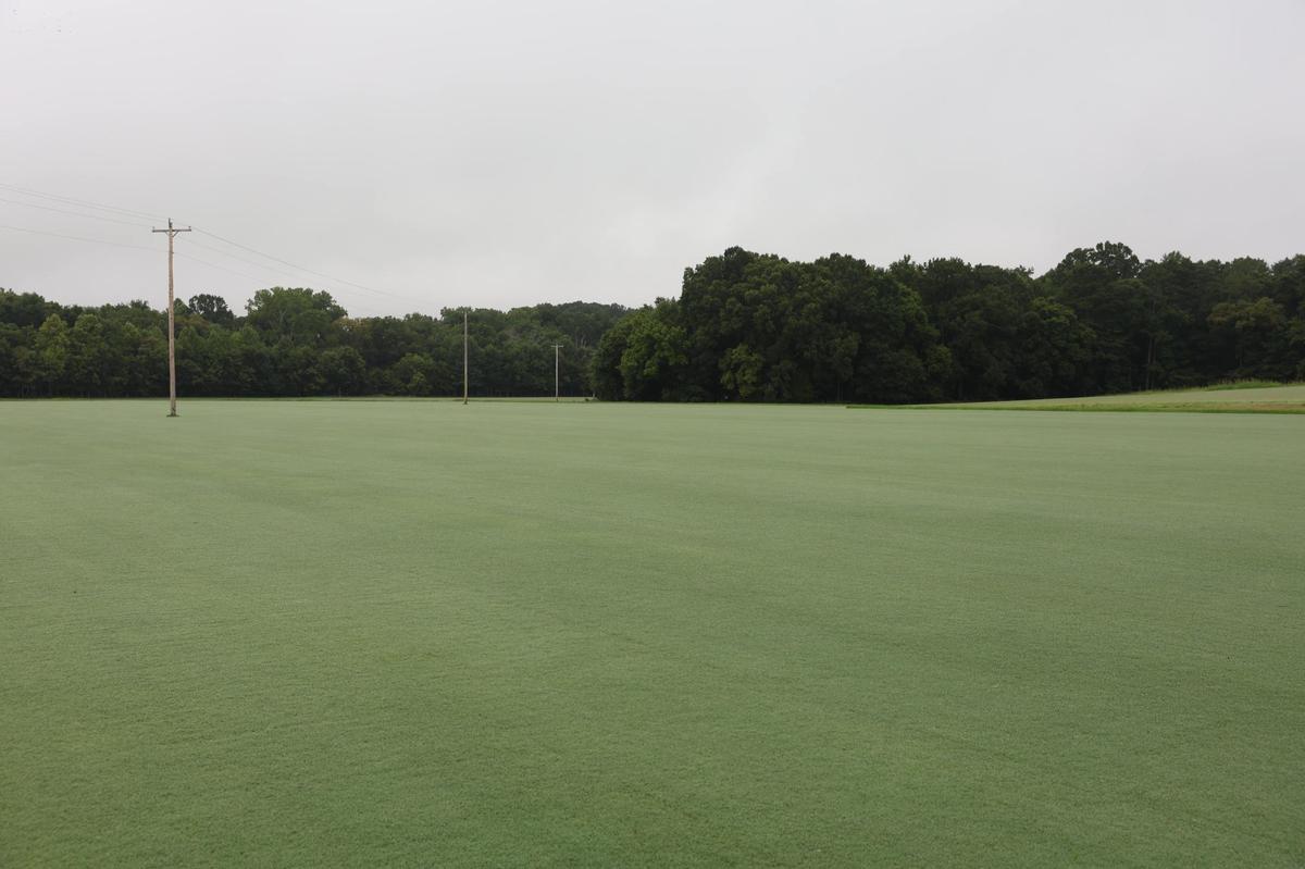 One of many grass fields at the farm for Carolina Green Corporation in Indian Trail, NC on Friday, July 26, 2024. Carolina Green Corp grows premium sod, works with Charlotte FC, Carolina Panthers, Kansas City Chiefs and many more college and professional teams across the country.