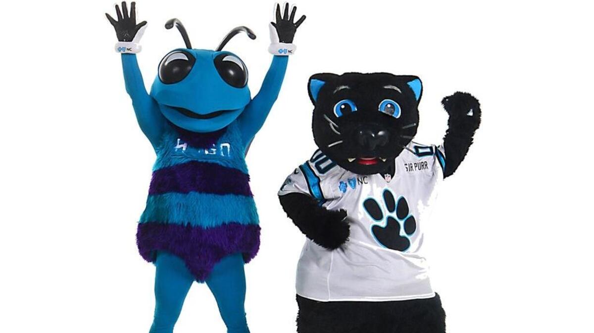 It’s a great time to be a Charlotte sports fan -- and Hugo and Sir Purr.