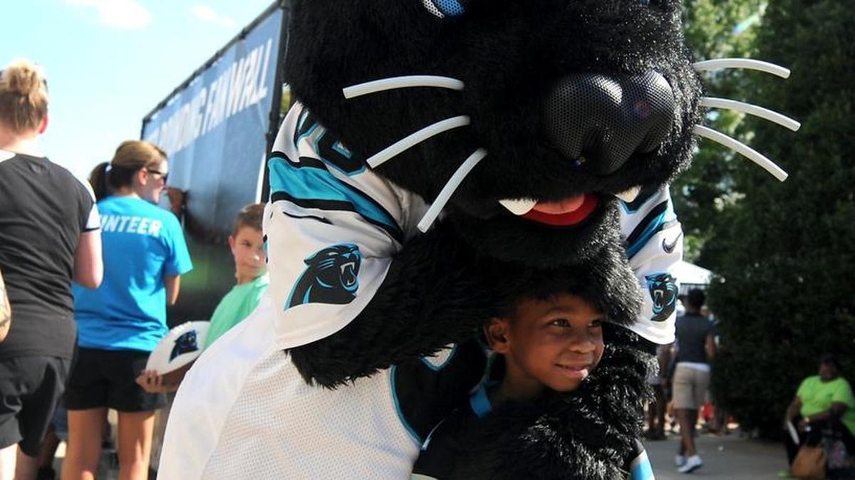 Carolina Panthers players, Sir Purr, above, the TopCats, the PurrCussion drumline and the Black & Blue Crew all will make appearances Friday at a send-off rally from noon to 1:30 p.m. in Romare Bearden Park in uptown Charlotte.