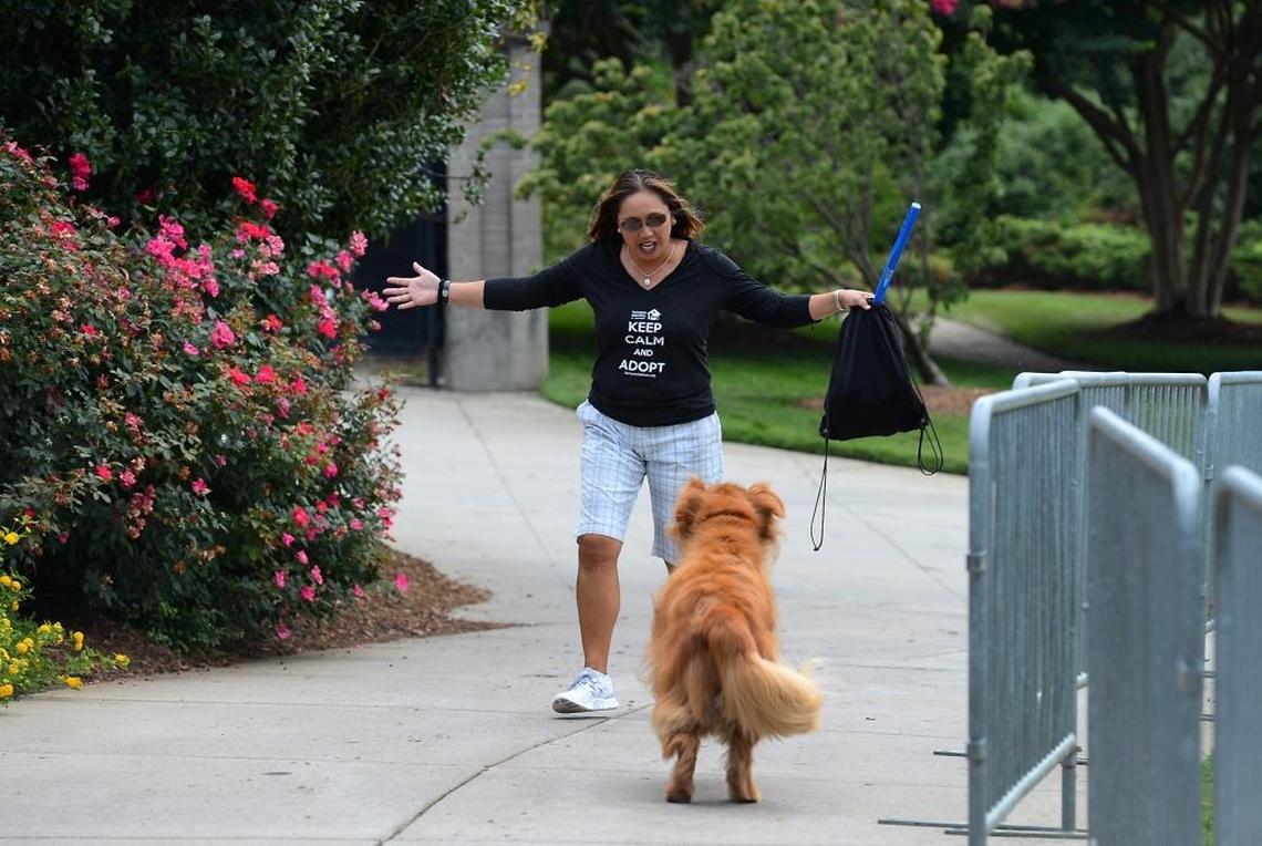 Stephanie Rivera, wife of Carolina Panthers head coach Ron Rivera greets Fiyero the family’s golden retriever on Tuesday, September 3, 2013. Stephanie Rivera helped create a Humane Society calendar to raise $50,000 for the non-profit. The calendar features players and their pets along with some holding sheltered dogs. The Riveras also have a terrier mix named Penny.