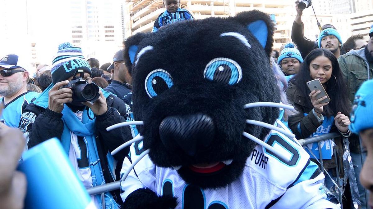 The crowd cheers as Sir Purr walks through at the Panthers Pride Rally uptown in Romare Bearden Park on Jan. 29.