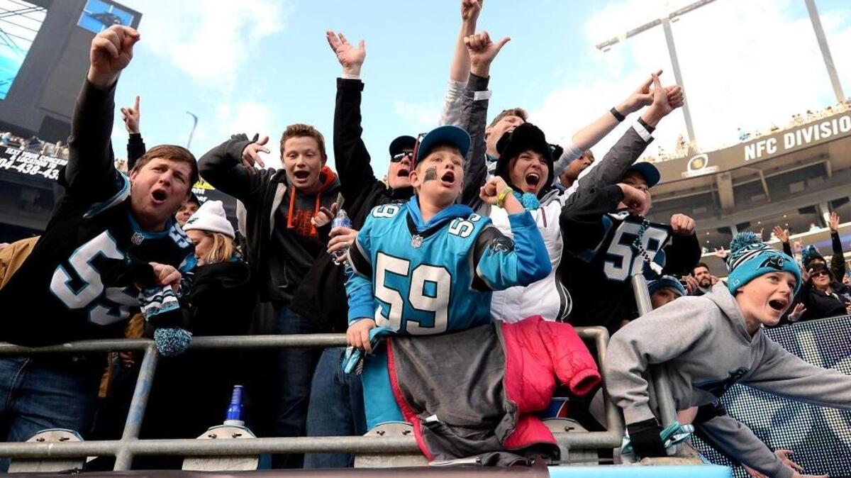 Carolina Panthers fans celebrate the team's victory over the Seattle Seahawks at Bank of America Stadium in Charlotte on Jan. 17. The Panthers defeated the Seattle Seahawks in a NFC Divisional game 31-24.