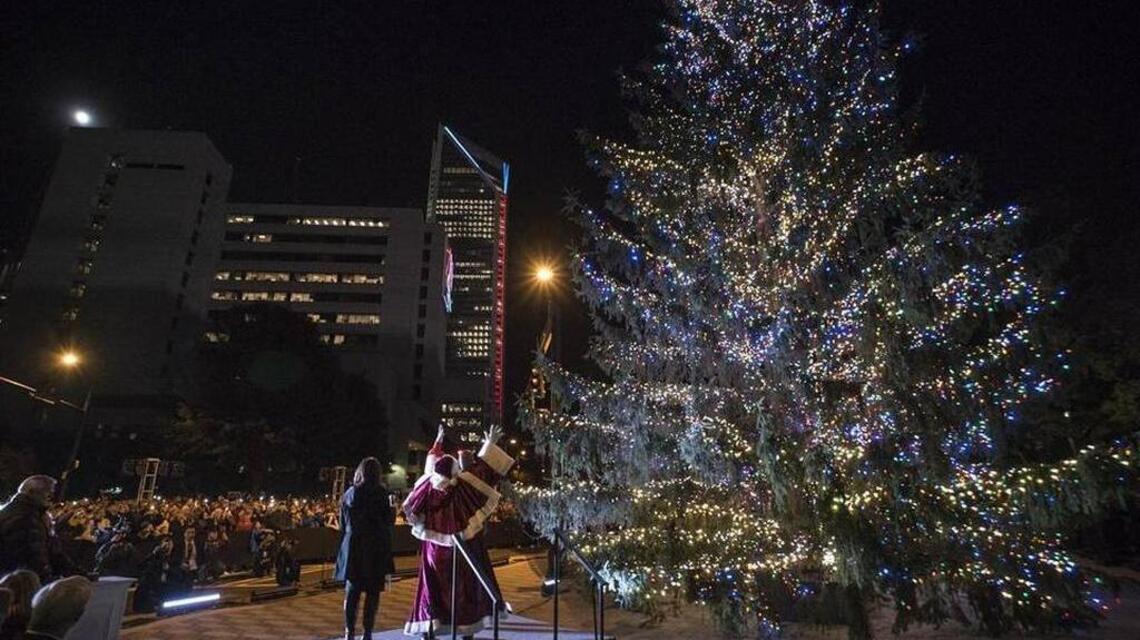 Carolina Panthers to host holiday tree lighting Nov. 23