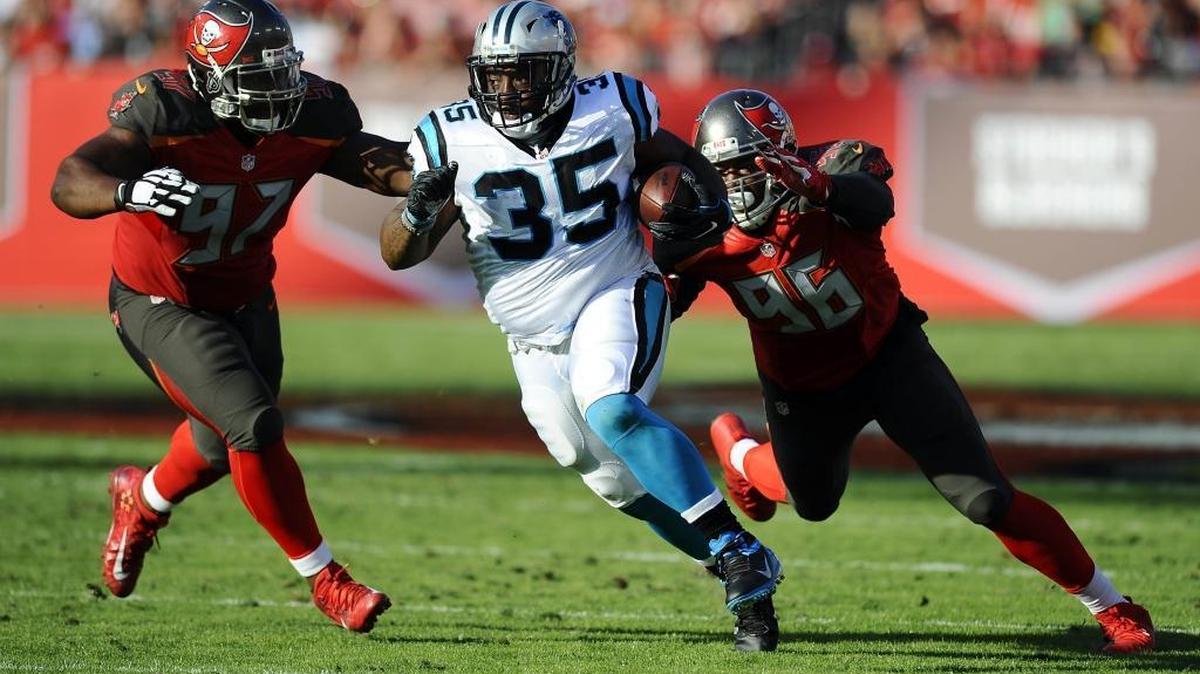 The Carolina Panthers have released fullback Mike Tolbert (35).