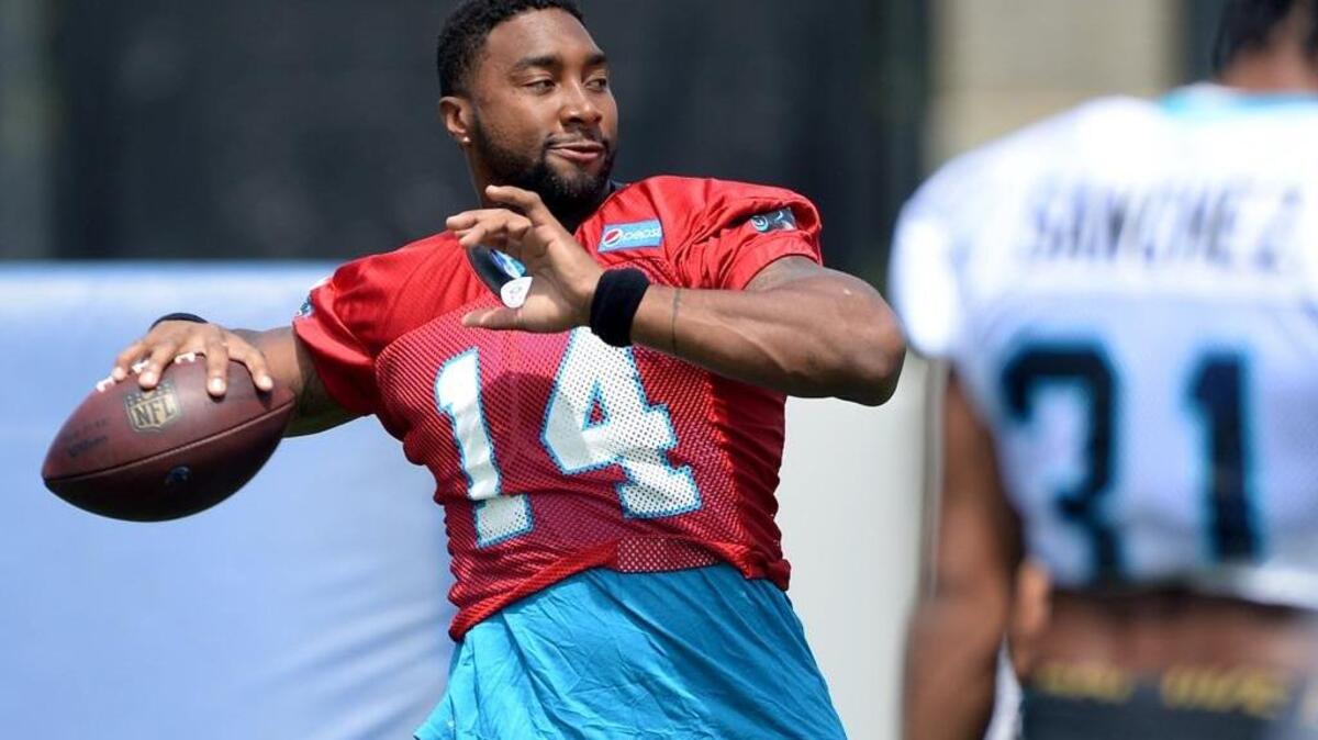 Panthers do-it-all Joe Webb will play quarterback for most of the second half against the Tennessee Titans on Saturday, but his value comes from his versatility.