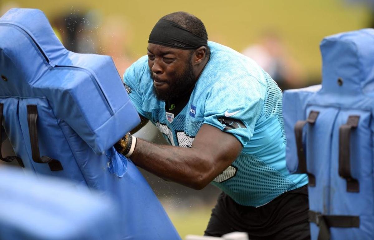 Carolina Panthers defensive end Charles Johnson (95) struggled with injuries in 2017 and had the same number of sacks as your mail carrier.