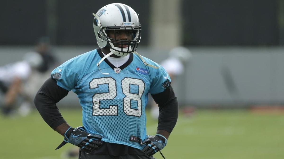 Carolina Panthers running back Jonathan Stewart should have an easier time staying healthy in 2017 with Christian McCaffrey to share the load.