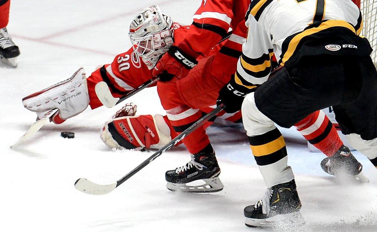 The Charlotte Checkers will be without their top goalkeeper, Alex Nedeljkovic (30), when they open the second round of the AHL playoffs at home Friday against Hershey. Nedeljkovic was called up to the Carolina Hurricanes this week.