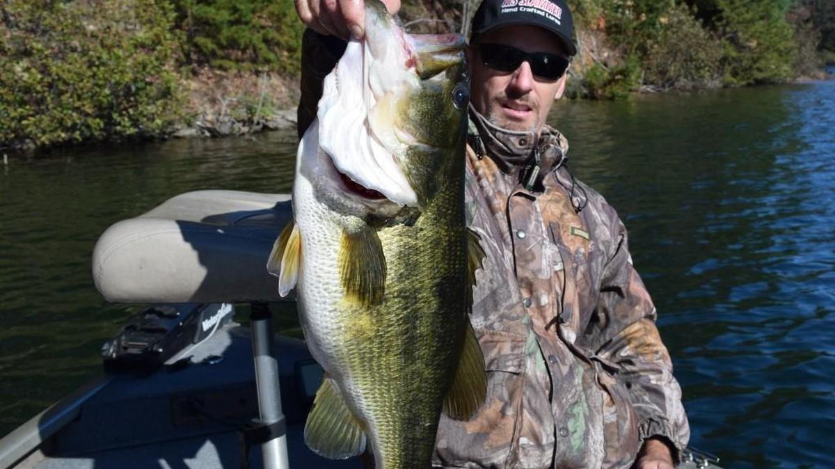Guide Rob McComas hefts a 9-pound largemouth bass he caught a few days ago at Lake Jocassee in South Carolina’s northwestern mountains. Largemouth, smallmouth and spotted bass all are reported striking well at the picturesque reservoir.