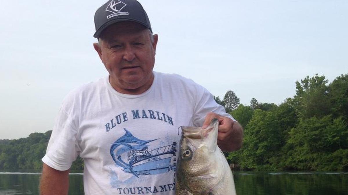 
Gary Redmond of Huntersville with one of the approximately 50 large striped bass he and Humpy Wheeler of Charlotte boated recently in Tennessee. Fishing with guide Anthony Johnson of Lincolnton, the two reeled stripers weighing up to 28 pounds from the Cumberland River in the tailrace of Ft. Loudon Dam near Lenoir City. The fish hit large alewives in water rushing from the dam. Both veteran anglers said it was the wildest angling action they ever have seen.
