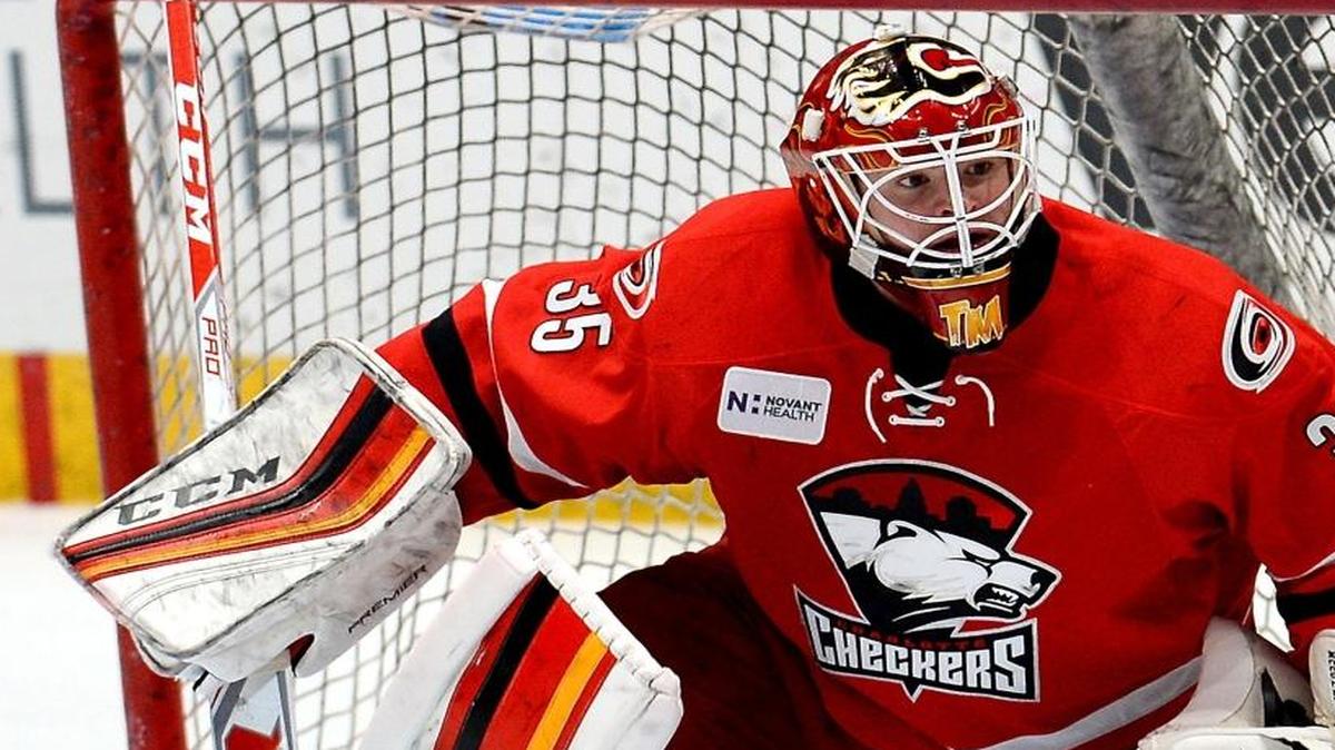 The Charlotte Checkers released their 2017-18 schedule for the AHL season on Tuesday.