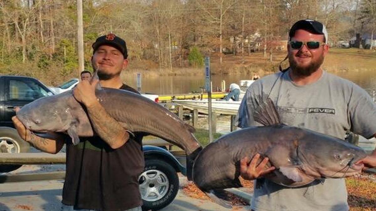 Evan Martin (right) of Charlotte with a 52-pound blue catfish he caught Saturday at Lake Tillery. His friend Larry Godwyn (left) of Charlotte boated a 30-pounder.