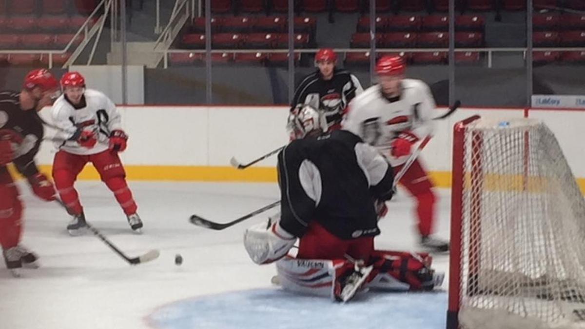 Charlotte Checkers goalkeeper Alex Nedeljkovic is only 20, but he was among the AHL's top goalies last season, with a goals-allowed average of 1.92. Above, Nedeljkovic prepares to stop the puck at Wednesday’s practice at Bojangles Coliseum.
