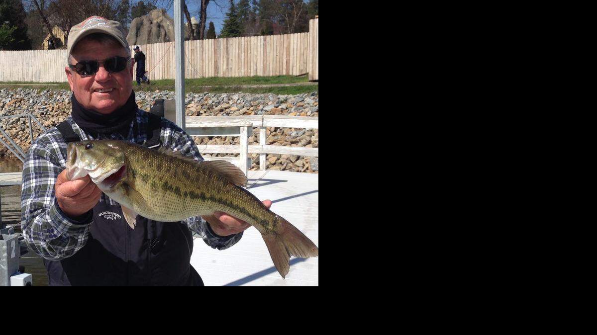 
Boots Beasley of Mooresville, skipper of the Catawba Queen cruise and dinner boat on Lake Norman, with a 4.82-pound spotted bass he caught this week at Norman. The fish, which was released, struck a shakey head artificial worm.

