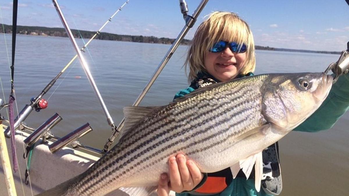 Gracen Melhorn, 9, with a 10-pound striped bass he caught Saturday while fishing at Lake Wateree with his father, Dieter. Gracen is a third-grader, home-schooled in Cramerton by his mom, Tonia. The Melhorns boated a limit of stripers while trolling near docks with live gizzard shad under planer boards.