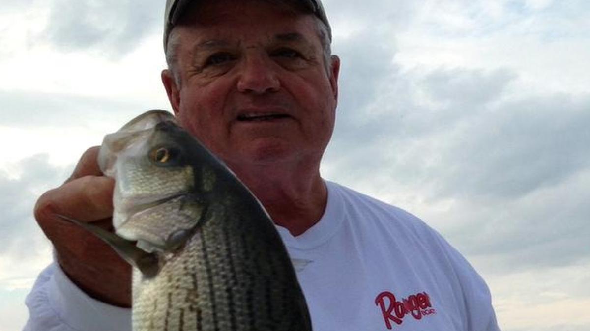 Boots Beasley of Mooresville with a Lake Norman hybrid caught during the fall. Note the broken lines on the side of the fish, distinguishing it from a striped bass.