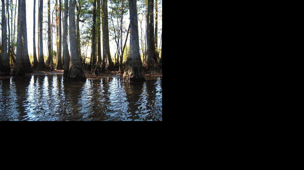 
Striped bass season is tentatively scheduled to run through April 30 at the Roanoke River. 

