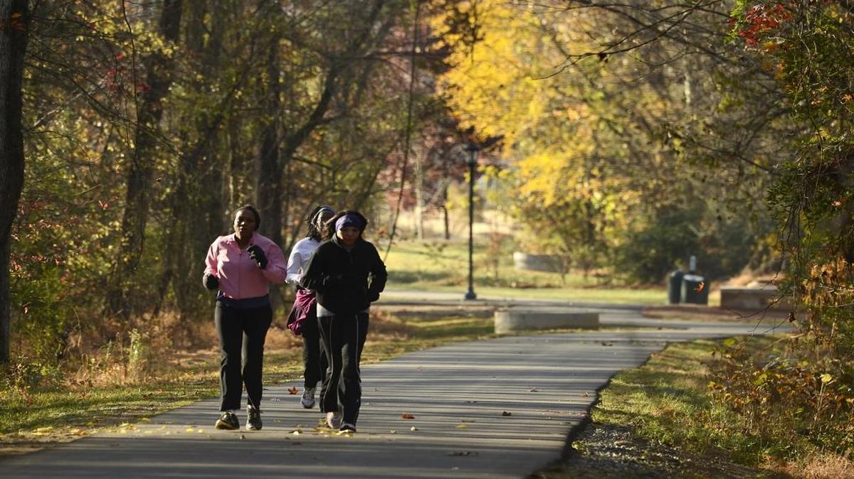 Runners jog on the Ruth G. Shaw Trail through the UNC Charlotte campus. (File Photo)