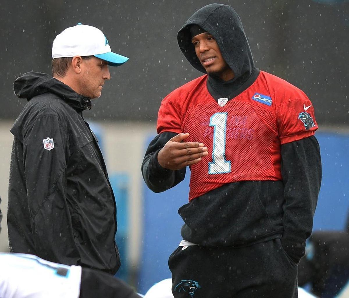 Carolina Panthers offensive coordinator Mike Shula shepherded the majority of quarterback Cam Newton’s career before being fired Tuesday. Newton won the NFL Most Valuable Player award in 2015 but has thrown a total of 30 interceptions the past two seasons and had the two lowest quarterback ratings of his career.