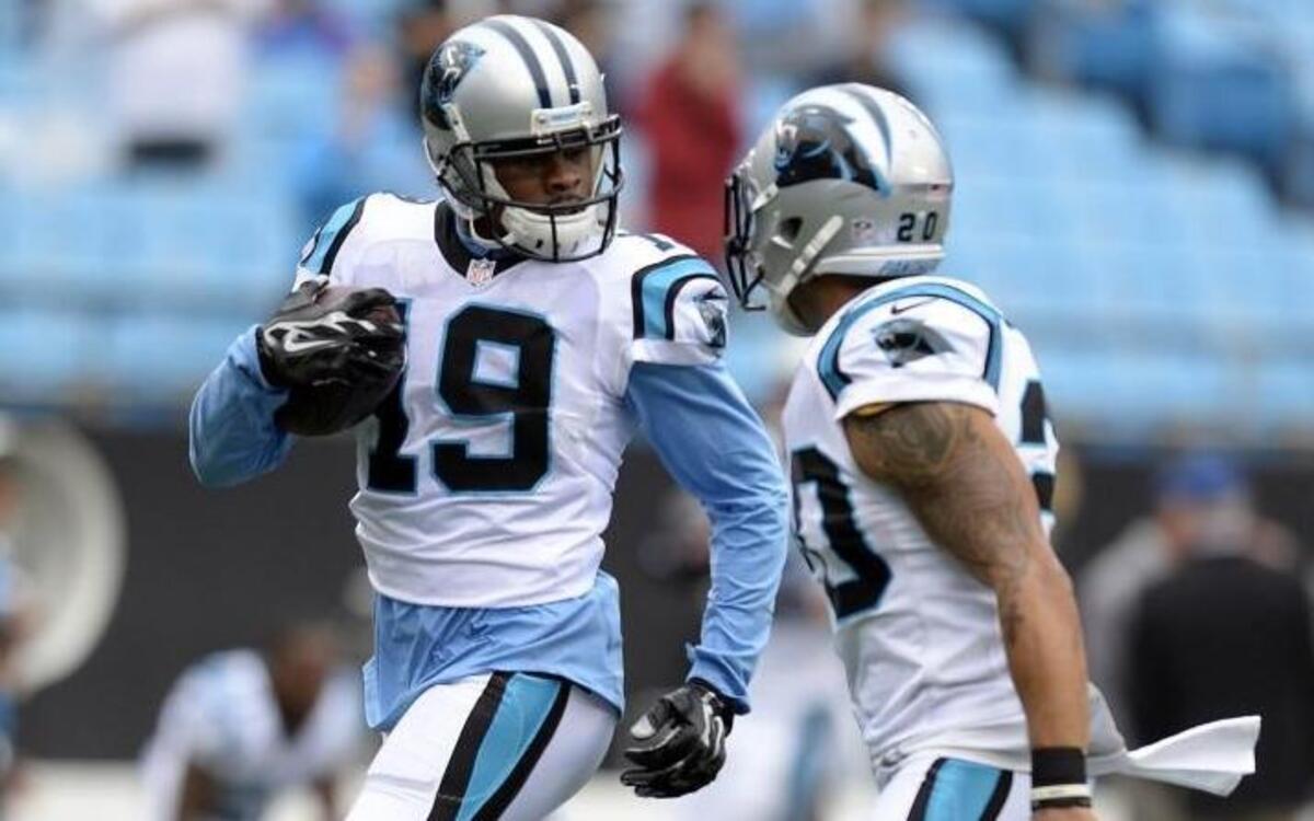 Ted Ginn Jr. (19) and Kurt Coleman are two of the best free-agent signings of the Dave Gettleman era for the Carolina Panthers.