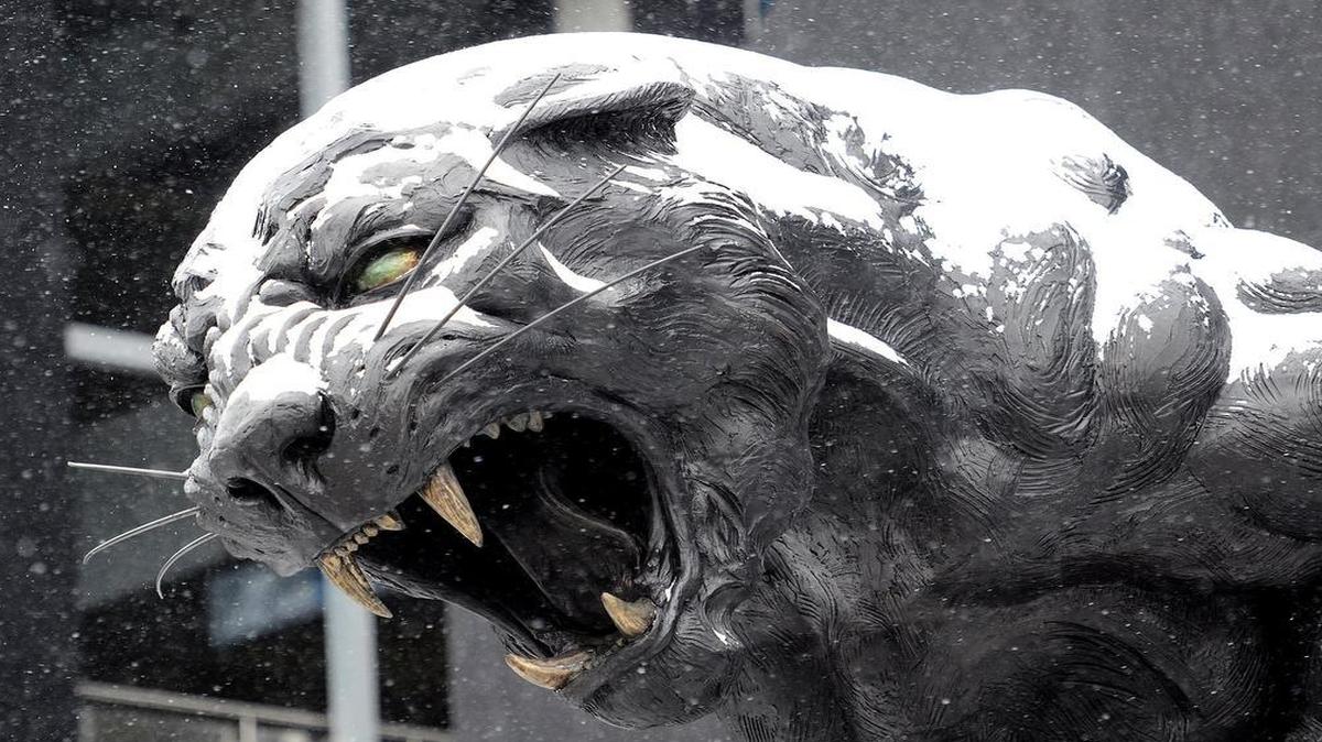 
Charlotte has the infrastructure necessary to host a college football national championship game at Bank of America Stadium, but ultimately the weather in January could be a hindrance. If we only had a dome ... 
