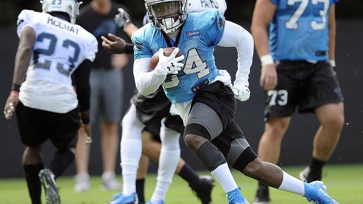 Carolina Panthers running back Cameron Artis-Payne (34) has had a very good preseason, including a run of 43 yards in the most recent exhibition. But with Christian McCaffrey having been added to the backfield and starter Jonathan Stewart still going strong, Carolina has a crowded house at tailback.