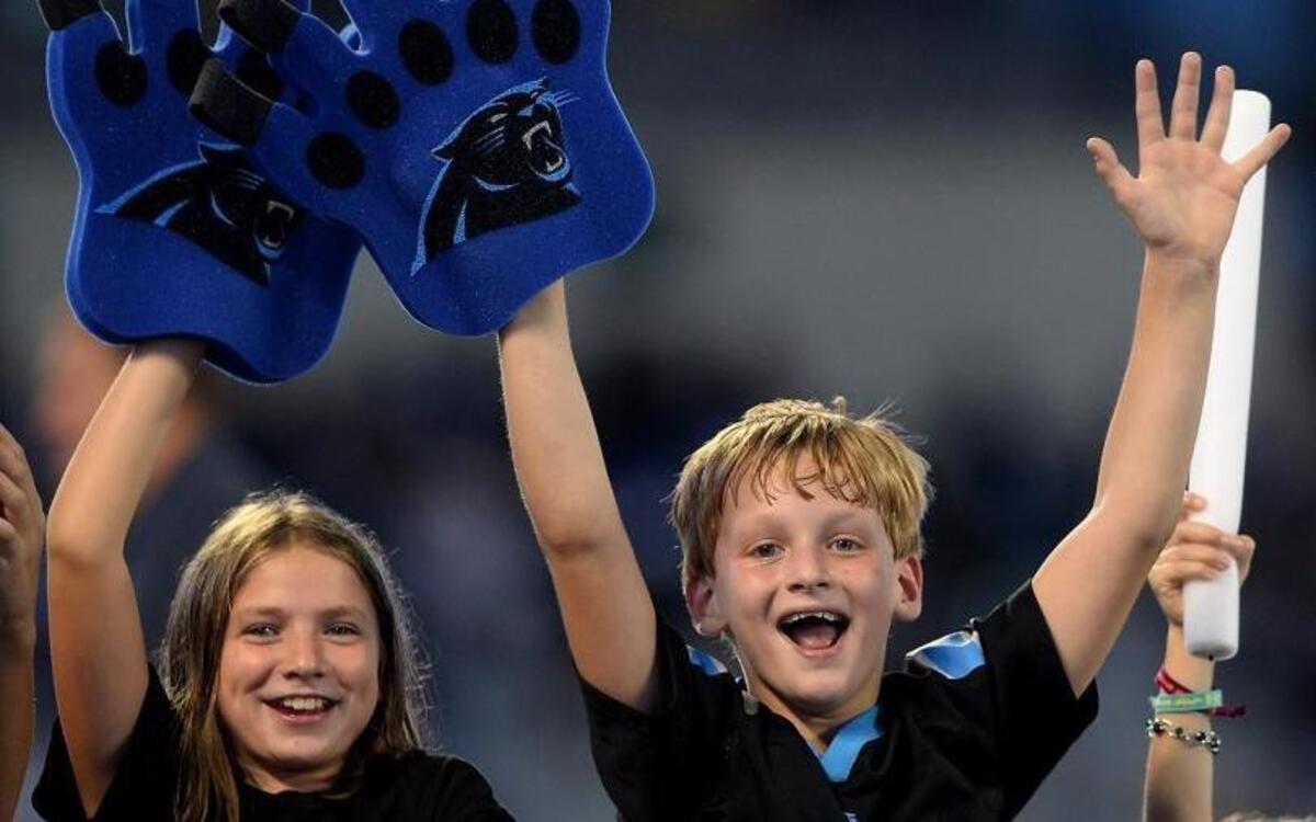 The Carolina Panthers’ annual Fan Fest at Bank of America Stadium is set for Friday, Aug. 4, and for the first time will charge admission. It’s not the best value.